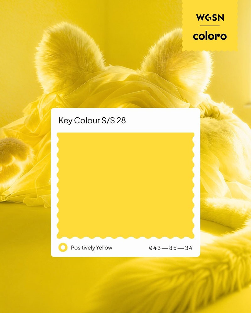 coloro 043-85-34